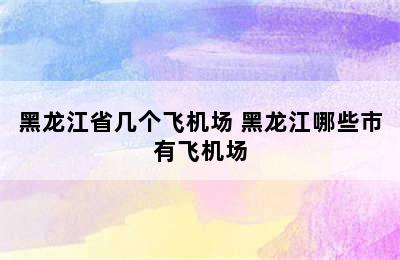 黑龙江省几个飞机场 黑龙江哪些市有飞机场